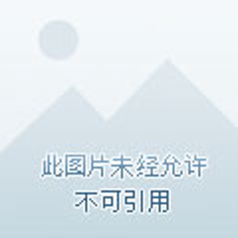 电力工程公司的行业风向标